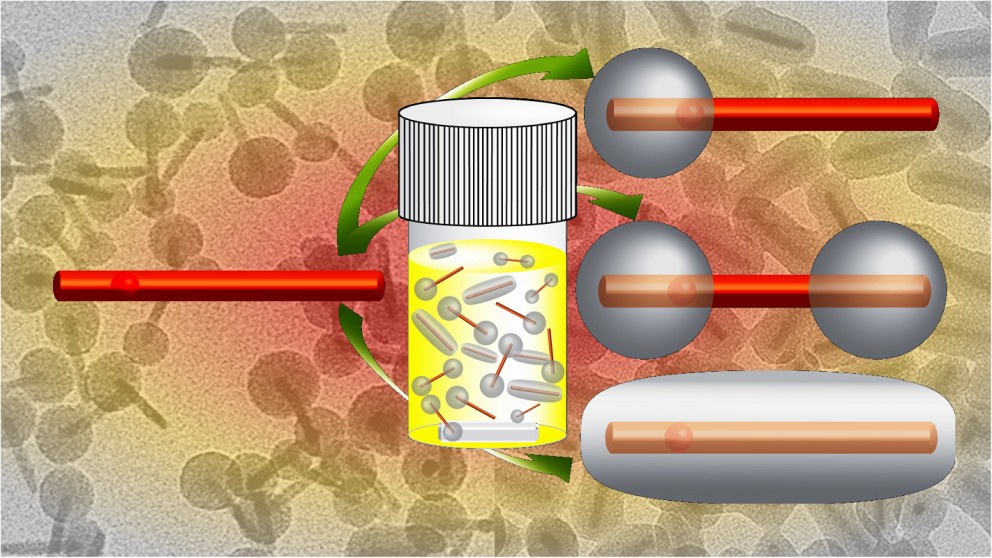 Morphological control of the silica shell on CdSeCdS coreshell quantum dot nanorods is reported, giving single or double lobes of silica or a uniform silica shell.