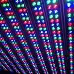 Esterno della luce della rondella della parete del LED (2)