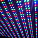 LED-Wandfluterleuchte außen (2)