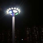 solar powered garden lights (6)