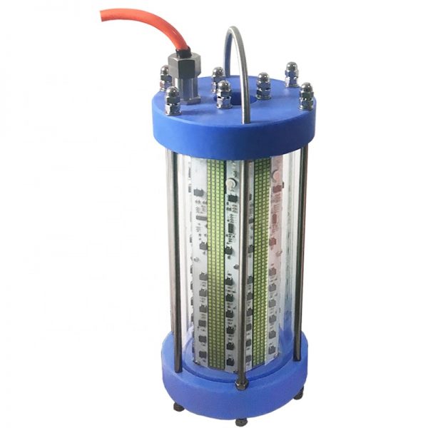 led fishing light (2)